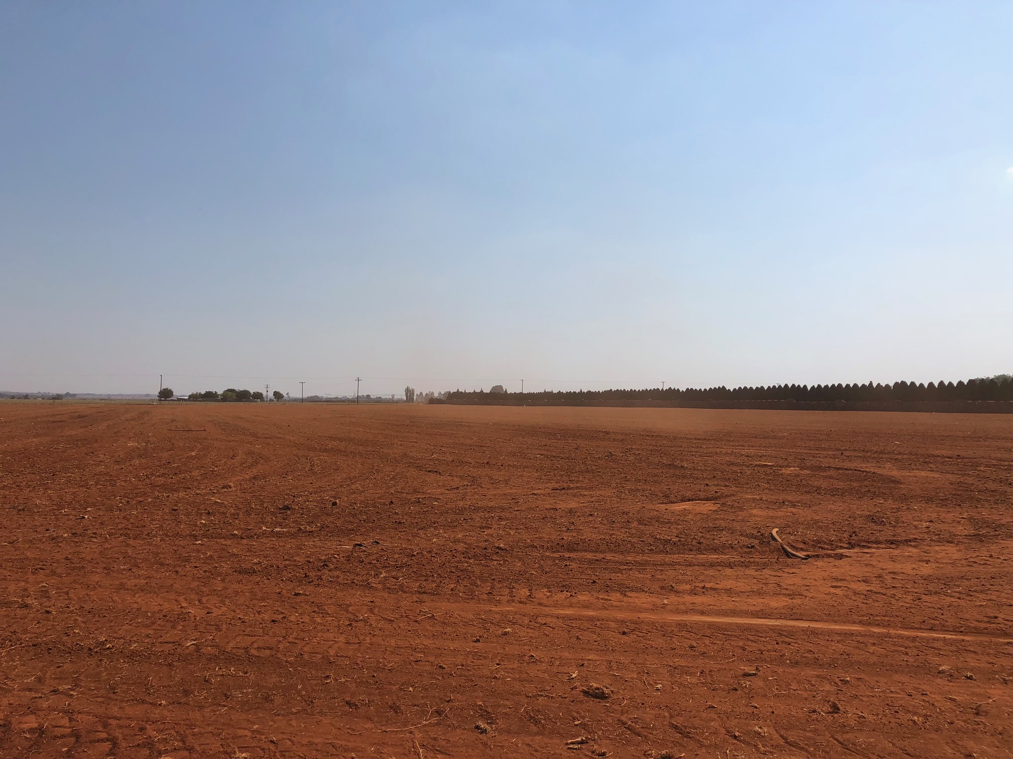 Site Clearance, levelling and Shaping Services